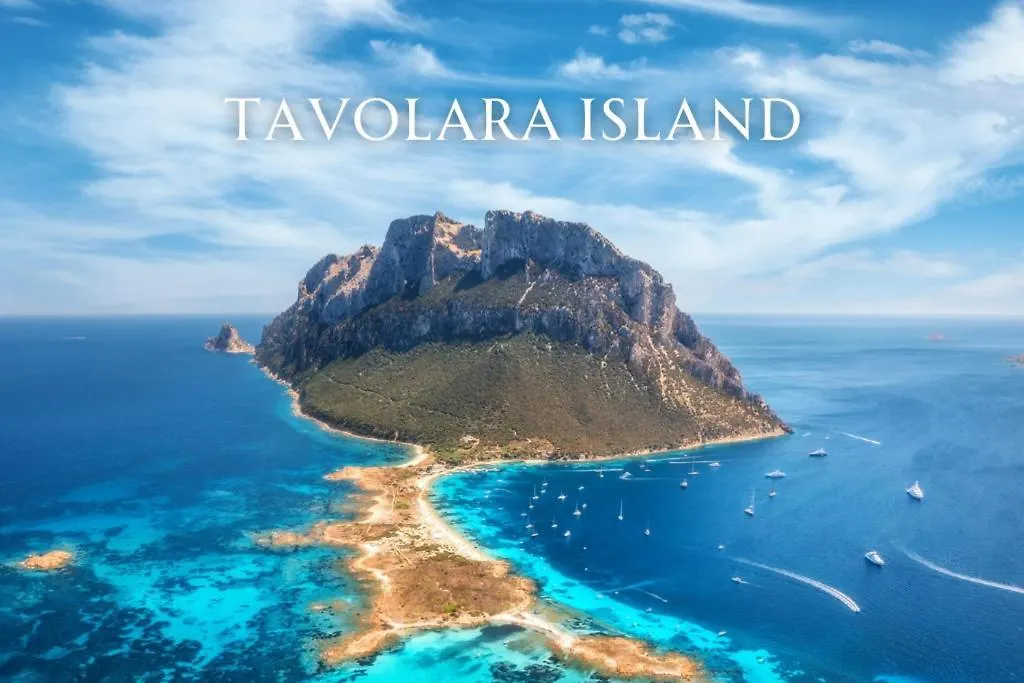 Luxury Apartment In Olbia, Terrazza & Cinema Italy